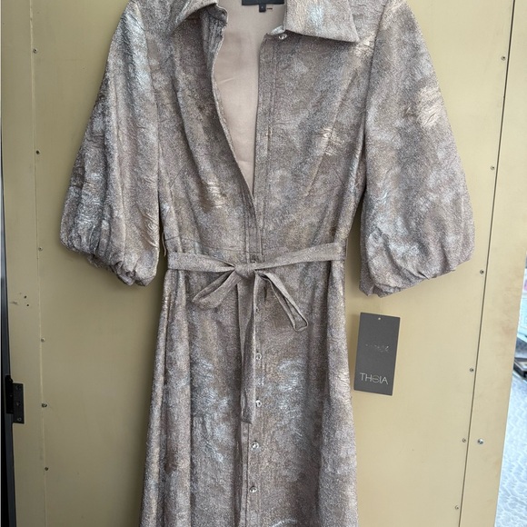 Theia Dresses & Skirts - Theia Women's Metallic Dress